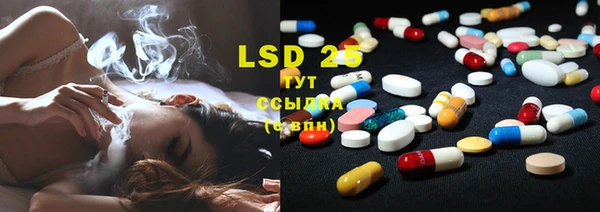 хмурый Губаха