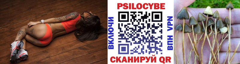 omg рабочий сайт  Мосальск  Псилоцибиновые грибы мухоморы  купить  